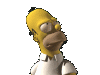 3D Homer's Head
